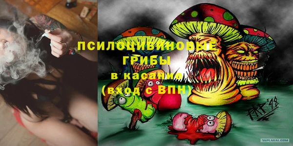 ГАЛЛЮЦИНОГЕННЫЕ ГРИБЫ Тобольск