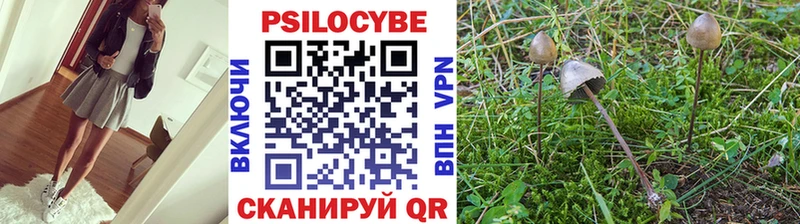 kraken ТОР где можно купить Бодайбо Галлюциногенные грибы MAGIC MUSHROOMS